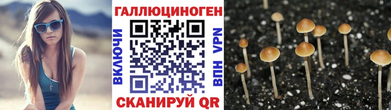 Псилоцибиновые грибы Magic Shrooms Бирюч