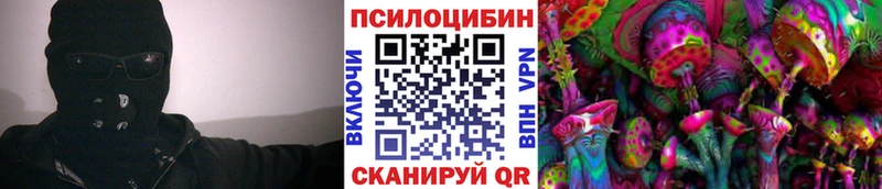 Галлюциногенные грибы мицелий закладка Бирюч